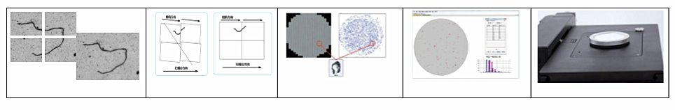 15874318265068617.png 15874318265068617.png