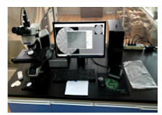 15874317742503995.png 15874317742503995.png